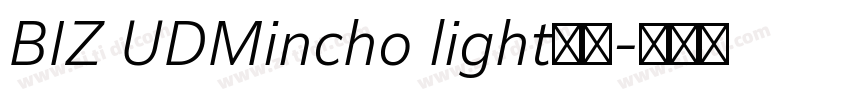 BIZ UDMincho light字体字体转换